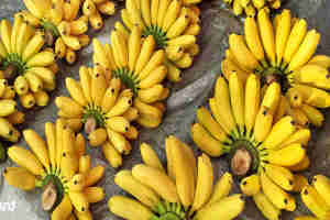 กินกล้วยคู่กับอะไรดีต่อสุขภาพ